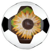 Sonnenblumenbildball Fußball (Gedreht)