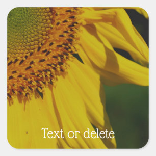 Sonnenblumenblätter Blume Personalisiert Quadratischer Aufkleber