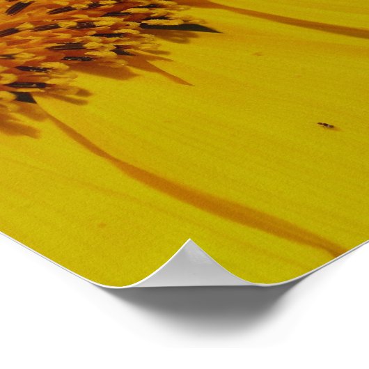 Sonnenblumenblätter Nah Poster (Ecke)