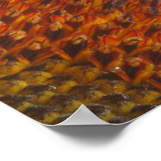 Sonnenblumenblätter Poster (Ecke)