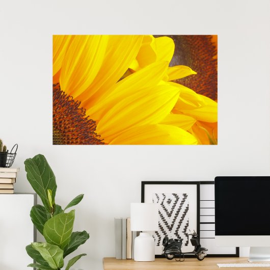 Sonnenblumenblätter Poster (Heimbüro)