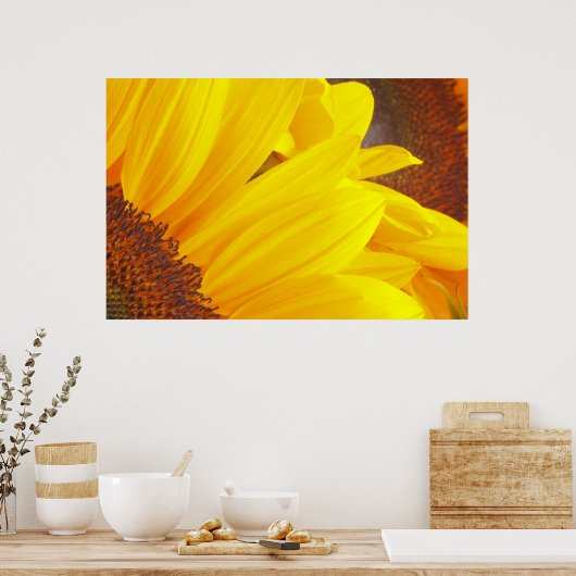 Sonnenblumenblätter Poster (Küche)