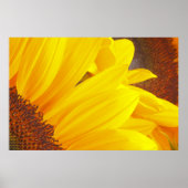 Sonnenblumenblätter Poster (Vorne)
