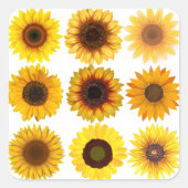 SonnenblumenCollage KUSTOMIZABLE Stickers (Vorderseite)
