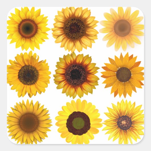 SonnenblumenCollage KUSTOMIZABLE Stickers (Vorderseite)