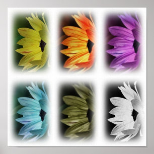 SonnenblumenCollage Print Poster