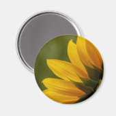 Sonnenblumendetails Magnet (Vorderseite/Rückseite)