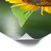 Sonnenblumendruck Foto (Ecke)