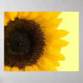 Sonnenblumendruck Poster (Vorne)