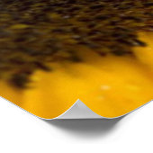 Sonnenblumendruck Poster (Ecke)