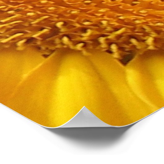 Sonnenblumendrucke Poster (Ecke)