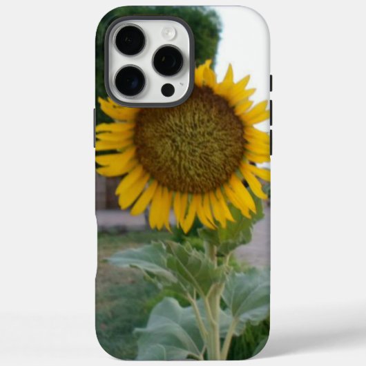 Sonnenblumendruckkunst Case-Mate iPhone Hülle (Rückseite)