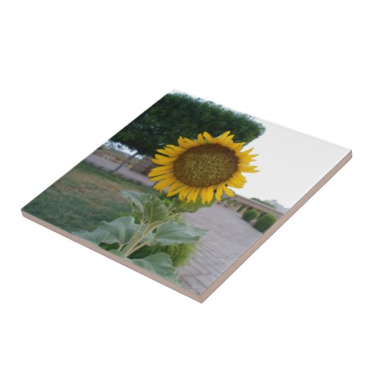 Sonnenblumendruckkunst Fliese (Seite)