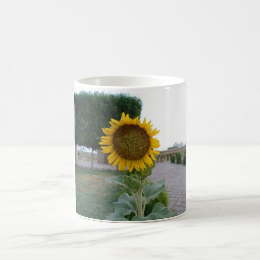 Sonnenblumendruckkunst Kaffeetasse (Mittel)