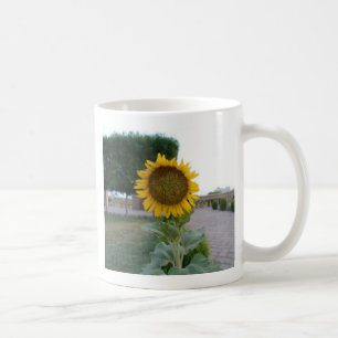 Sonnenblumendruckkunst Kaffeetasse