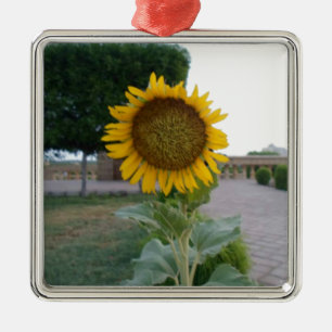Sonnenblumendruckkunst Silbernes Ornament