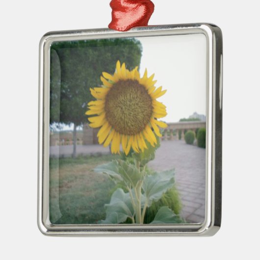 Sonnenblumendruckkunst Silbernes Ornament (Links)