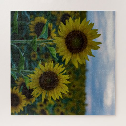 SonnenblumenDuo Nah Puzzle (Horizontal)