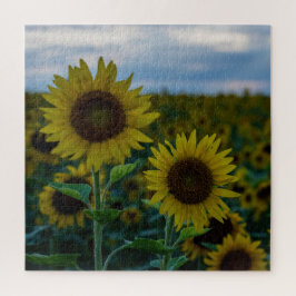 SonnenblumenDuo Nah Puzzle