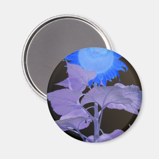 Sonnenblumeneffekt Magnet (Vorderseite/Rückseite)