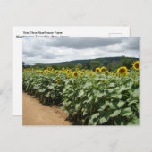 Sonnenblumenfarm New Jersey Postkarte (Vorne/Hinten)