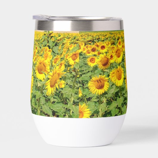 Sonnenblumenfeld (Rechts)