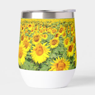 Sonnenblumenfeld