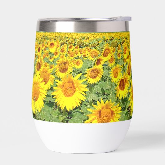 Sonnenblumenfeld (Links)