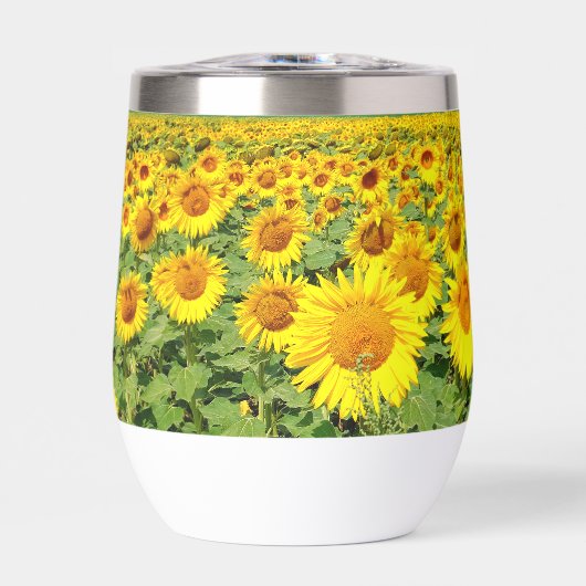 Sonnenblumenfeld (Vorderseite)