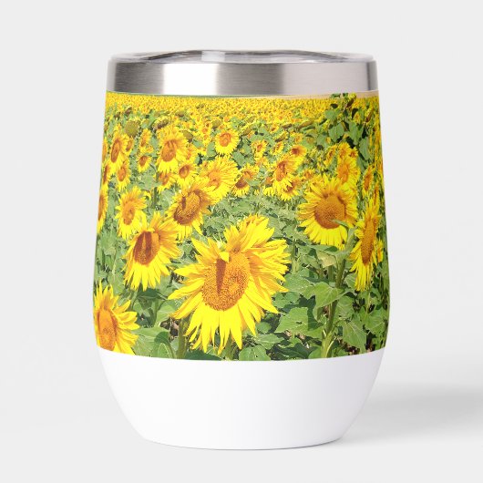 Sonnenblumenfeld (Rückseite)