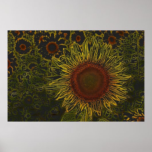 Sonnenblumenfeld 36 x 24 Poster (Vorne)