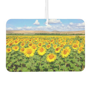 Sonnenblumenfeld Autolufterfrischer