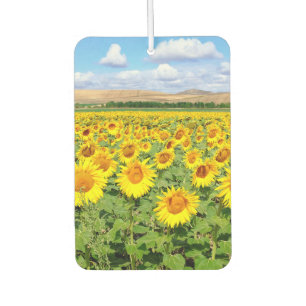 Sonnenblumenfeld Autolufterfrischer
