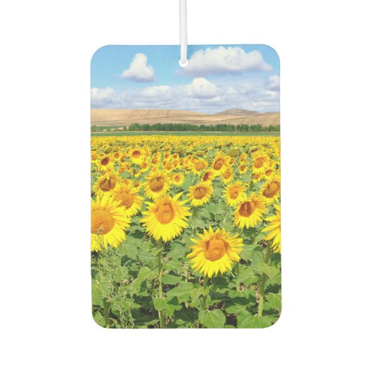 Sonnenblumenfeld Autolufterfrischer (Vorderseite)
