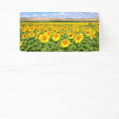 Sonnenblumenfeld Banner (InSitu)