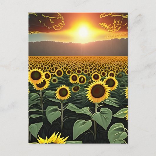 Sonnenblumenfeld bei Sonnenuntergang Postkarte (Vorderseite)