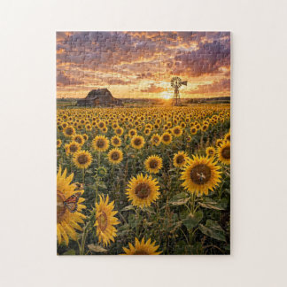 Sonnenblumenfeld bei Sonnenuntergang Puzzle