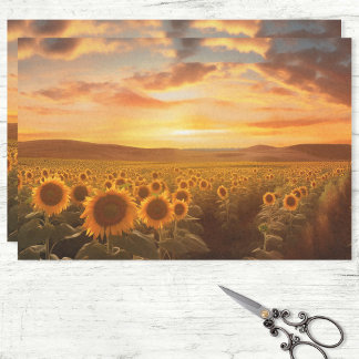 Sonnenblumenfeld bei Sonnenuntergang Seidenpapier
