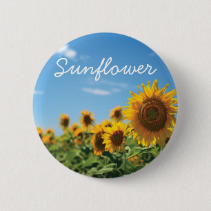Sonnenblumenfeld Button