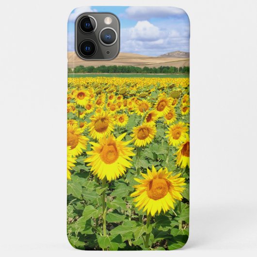 Sonnenblumenfeld Case-Mate iPhone Hülle (Rückseite)