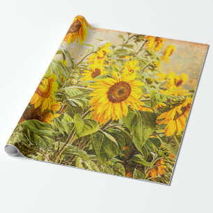 Sonnenblumenfeld Decoupage Gelb Vintag Antike Geschenkpapier