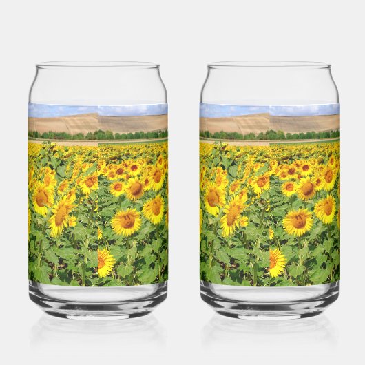 Sonnenblumenfeld Dosenglas (Rechts)
