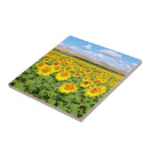 Sonnenblumenfeld Fliese (Seite)