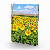Sonnenblumenfeld Fotoblock (Rechts)