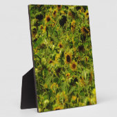 Sonnenblumenfeld Fotoplatte (Seite)