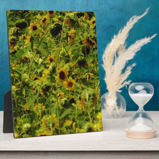 Sonnenblumenfeld Fotoplatte (Seite)