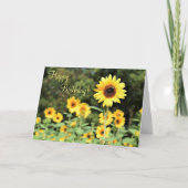 Sonnenblumenfeld Geburtstagskarte Karte (Vorderseite)