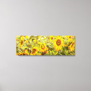 Sonnenblumenfeld Gelb Grün Rustikal Vintage Leinwanddruck