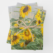 Sonnenblumenfeld Gelb Grün Schöne Blüte Geschenkpapier Set (Beispiel)