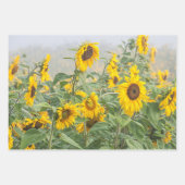 Sonnenblumenfeld Gelb Grün Schöne Blüte Geschenkpapier Set (Vorderseite)